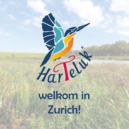 Готель Harteluk Afsluitdijk Zurich Екстер'єр фото